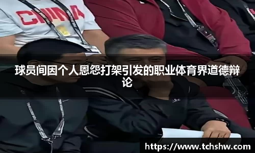 球员间因个人恩怨打架引发的职业体育界道德辩论