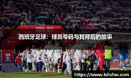 星空·综合体育