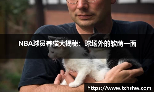 星空·综合体育官方网站